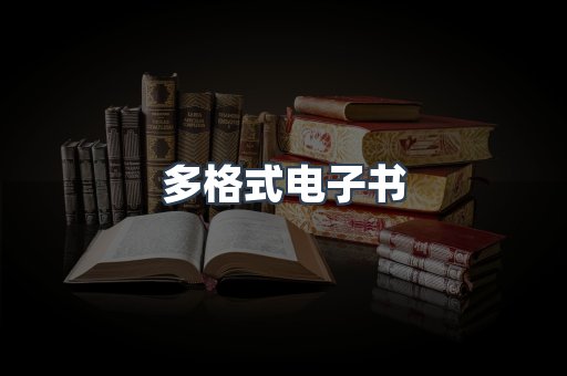 多格式电子书