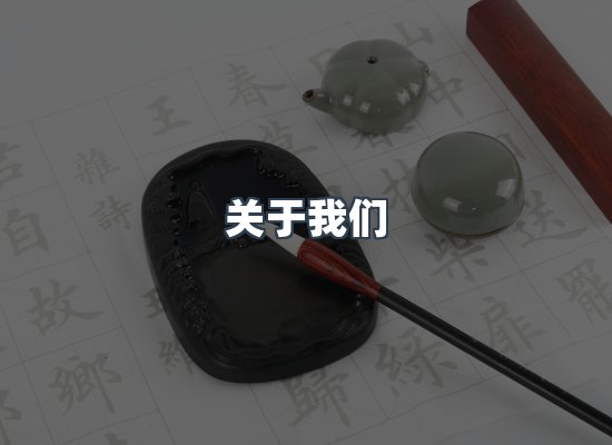 关于我们
